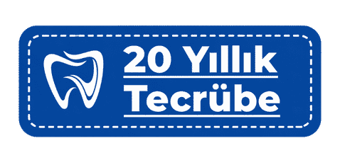 20 yıllık tecrübe rozeti